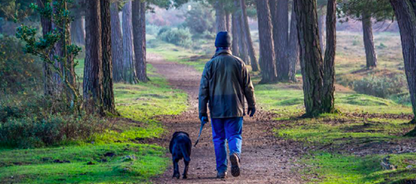 Mann mit Hund im Wald